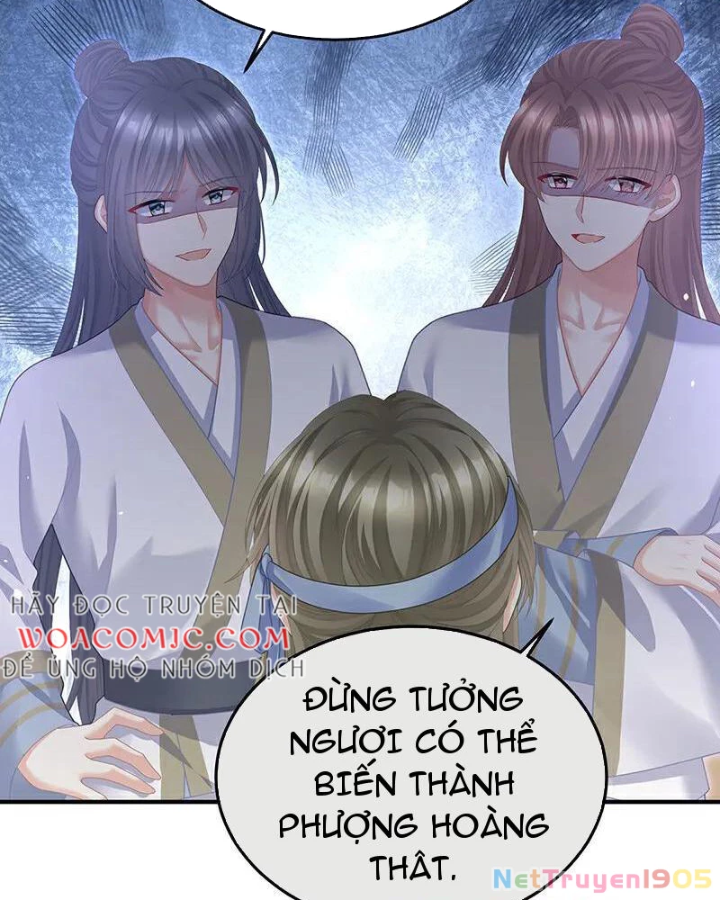 Hậu Cung Của Nữ Đế Chapter 424 - 27