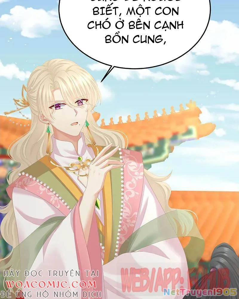 Hậu Cung Của Nữ Đế Chapter 425 - 22