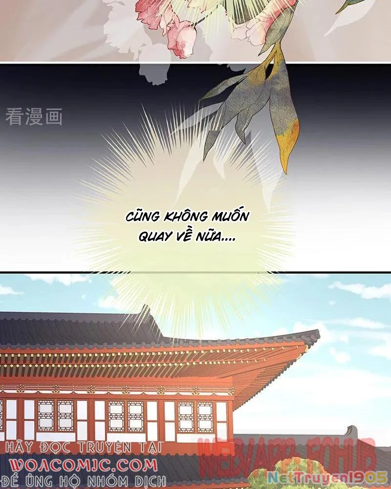 Hậu Cung Của Nữ Đế Chapter 427 - 7