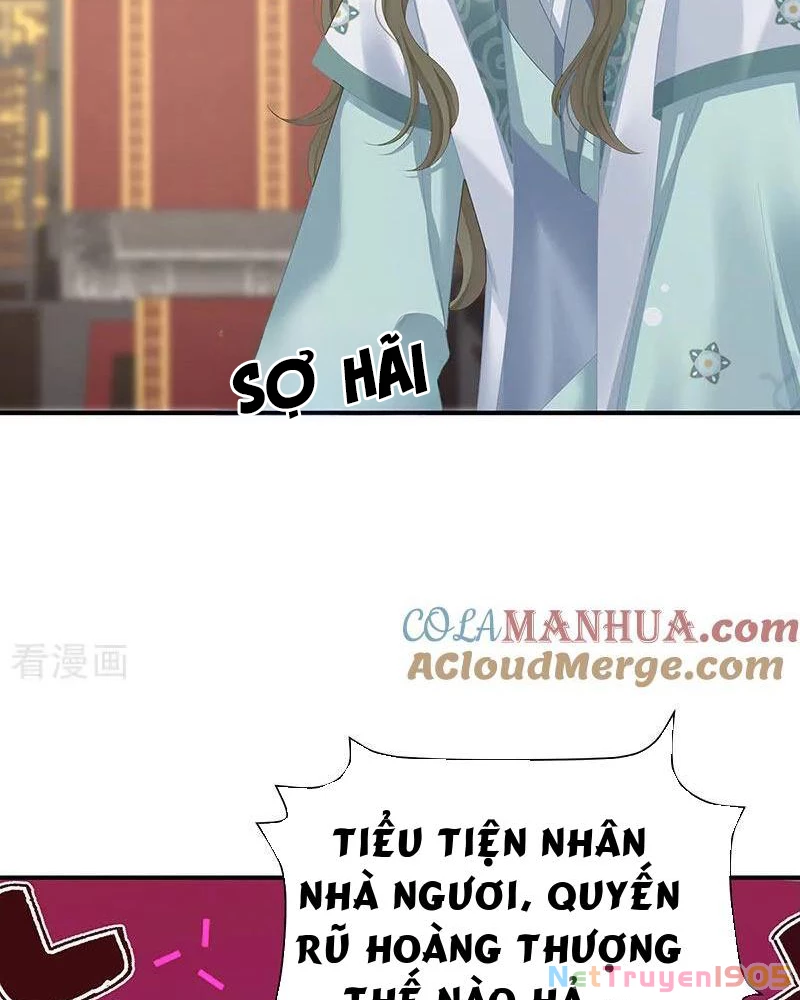 Hậu Cung Của Nữ Đế Chapter 427 - 11