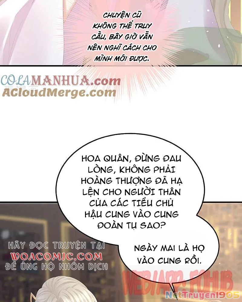 Hậu Cung Của Nữ Đế Chapter 427 - 25