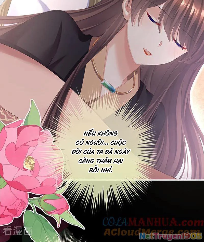 Hậu Cung Của Nữ Đế Chapter 428 - 41