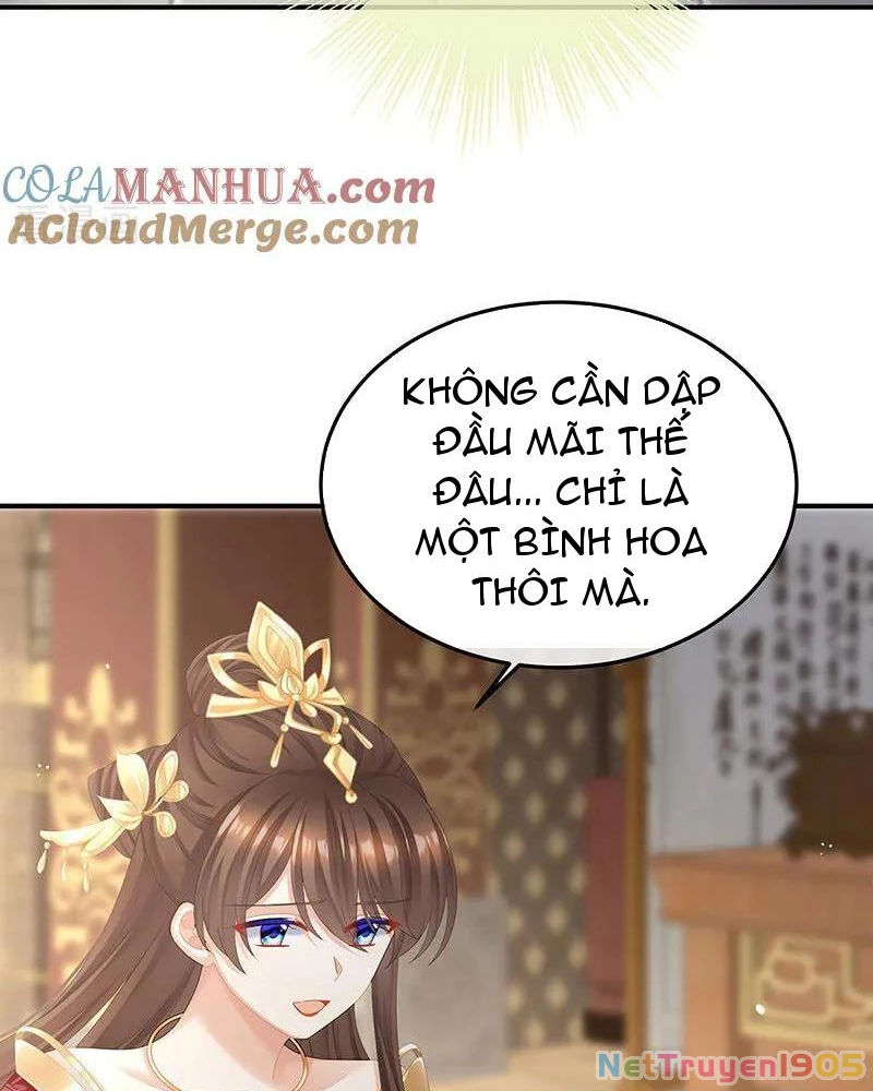 Hậu Cung Của Nữ Đế Chapter 429 - 11