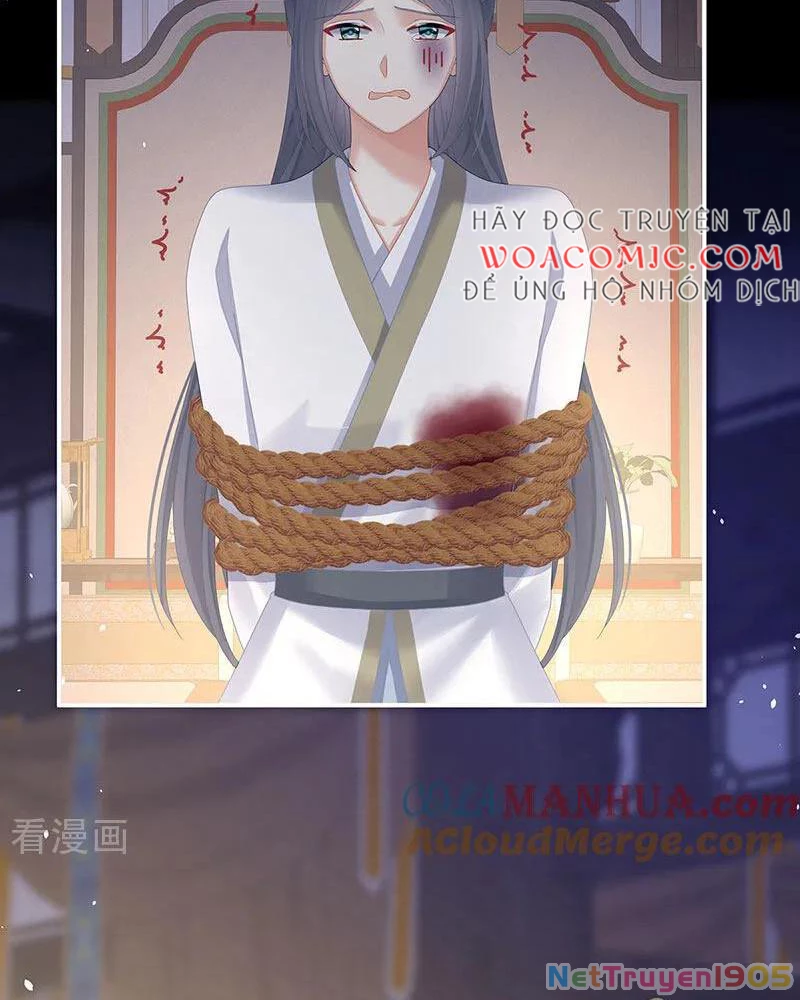 Hậu Cung Của Nữ Đế Chapter 429 - 53