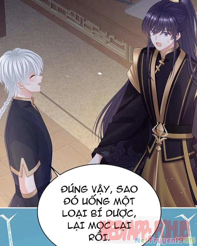 Hậu Cung Của Nữ Đế Chapter 431 - 7