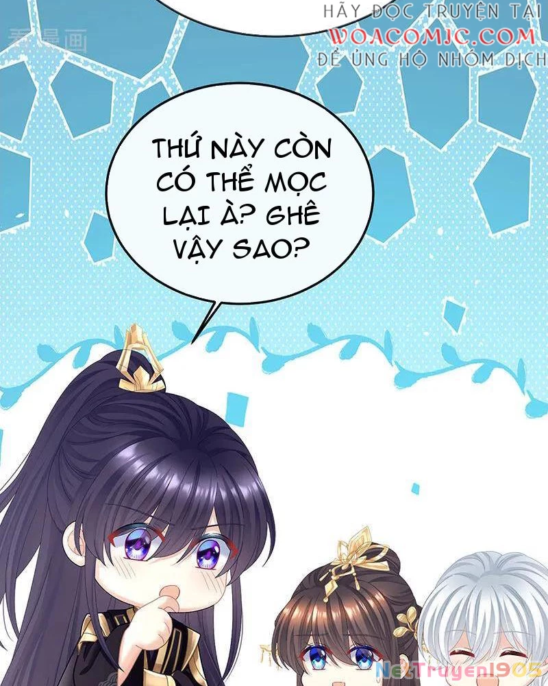 Hậu Cung Của Nữ Đế Chapter 431 - 8