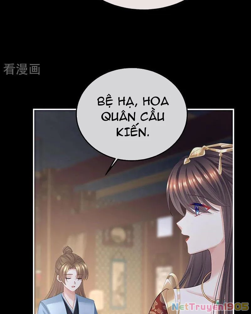Hậu Cung Của Nữ Đế Chapter 431 - 11