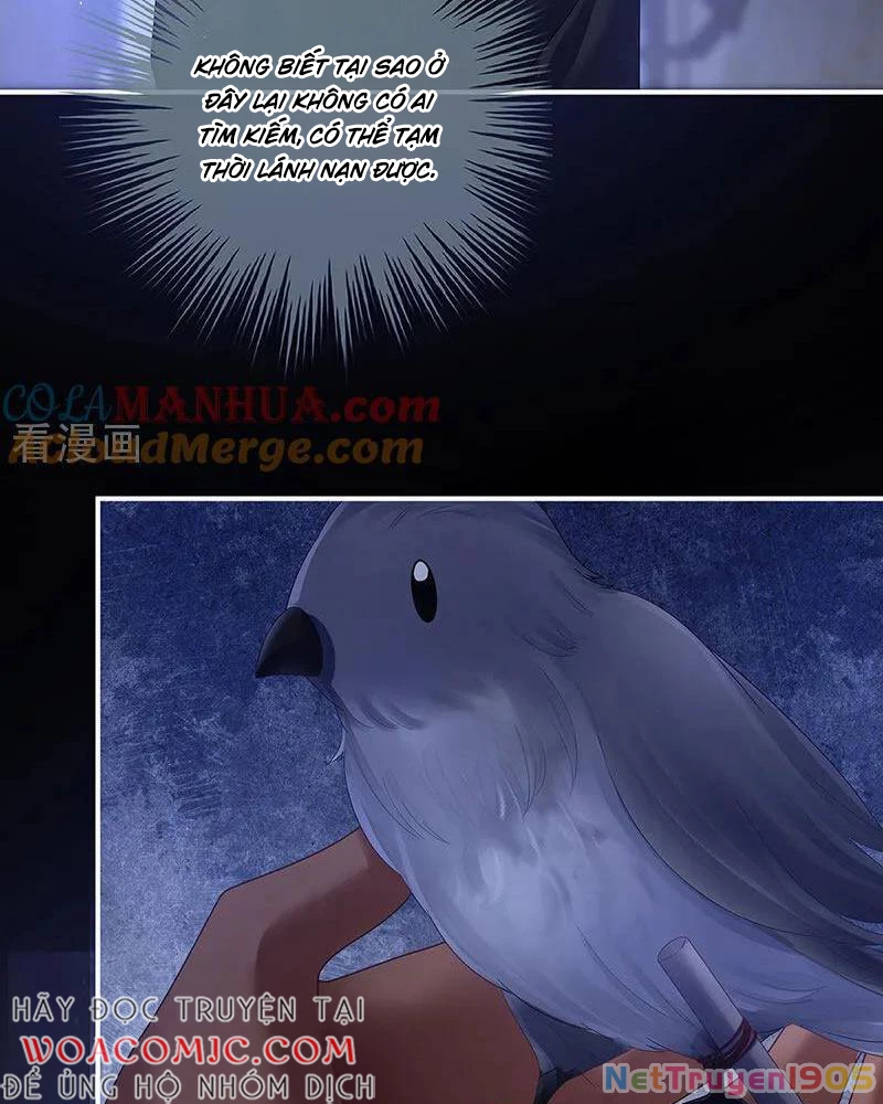 Hậu Cung Của Nữ Đế Chapter 431 - 23