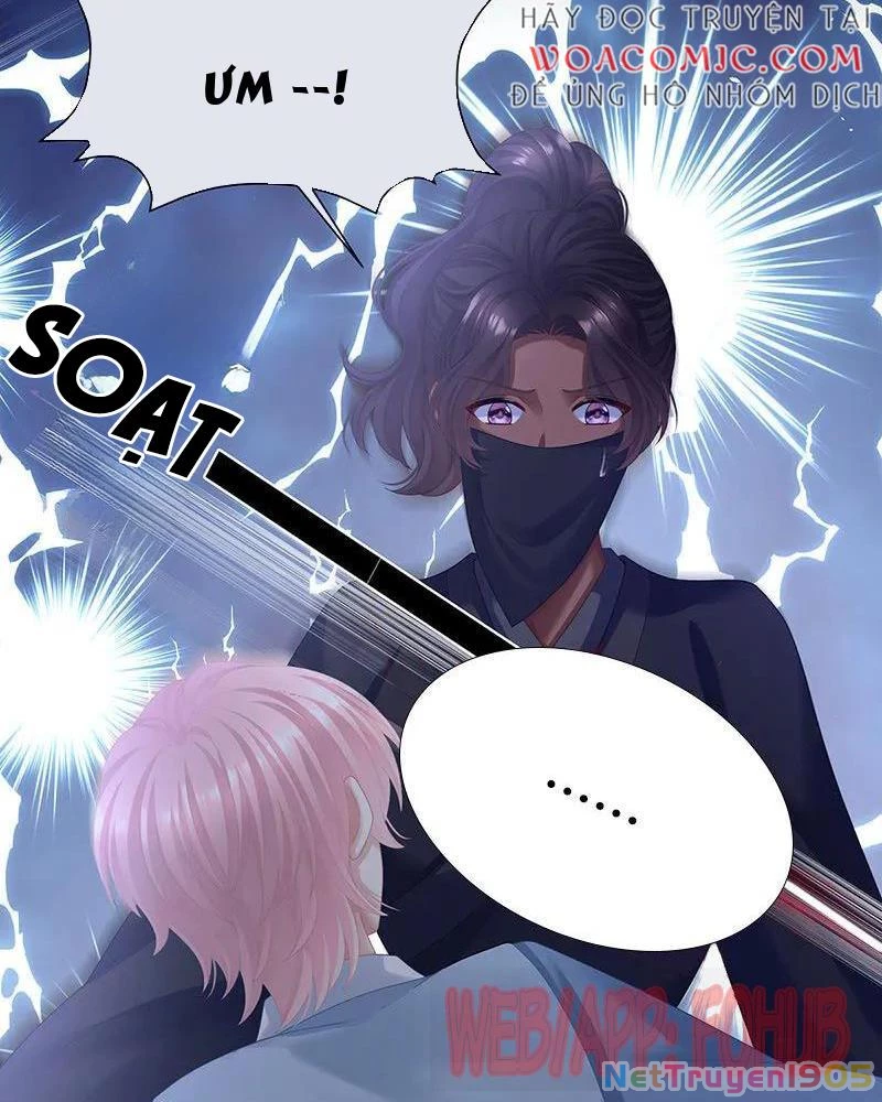 Hậu Cung Của Nữ Đế Chapter 431 - 46