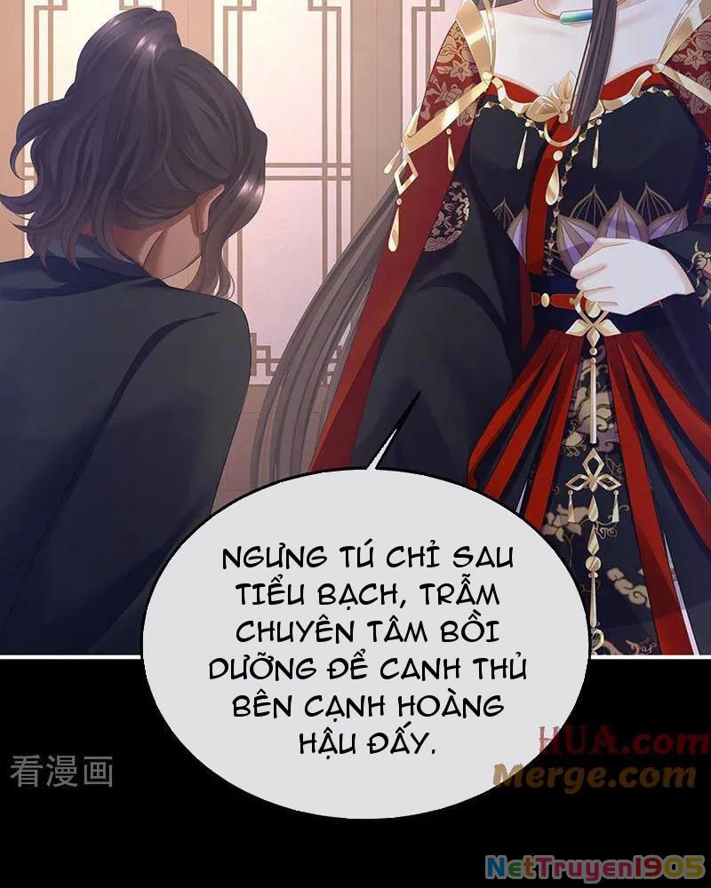 Hậu Cung Của Nữ Đế Chapter 431 - 50