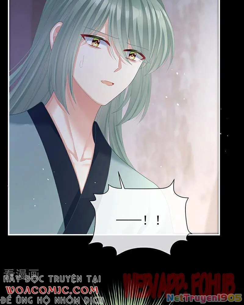 Hậu Cung Của Nữ Đế Chapter 432 - 22