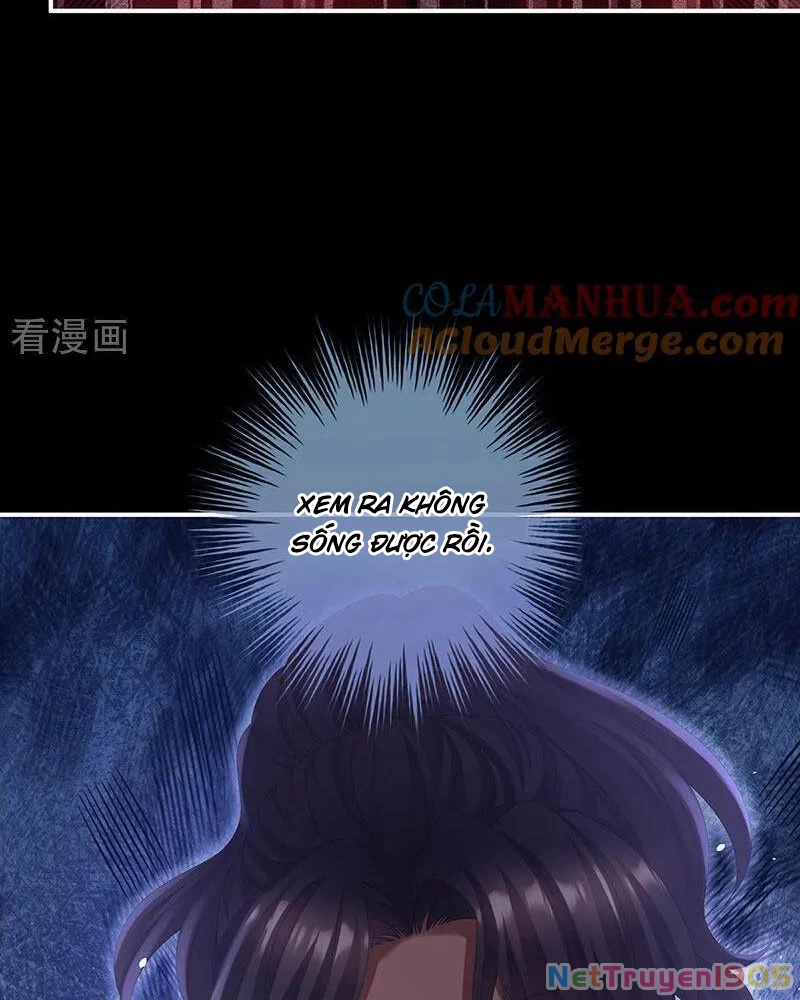 Hậu Cung Của Nữ Đế Chapter 433 - 11