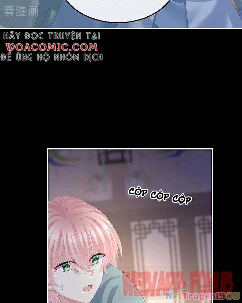 Hậu Cung Của Nữ Đế Chapter 433 - 37