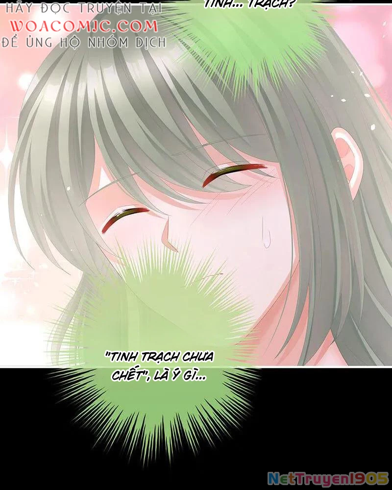 Hậu Cung Của Nữ Đế Chapter 433 - 53