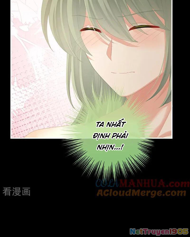 Hậu Cung Của Nữ Đế Chapter 434 - 6