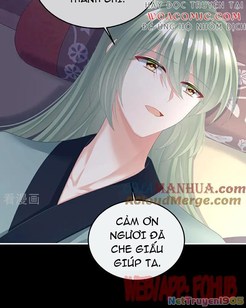 Hậu Cung Của Nữ Đế Chapter 434 - 58