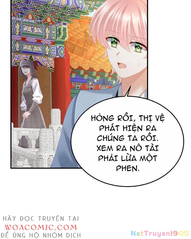 Hậu Cung Của Nữ Đế Chapter 435 - 33