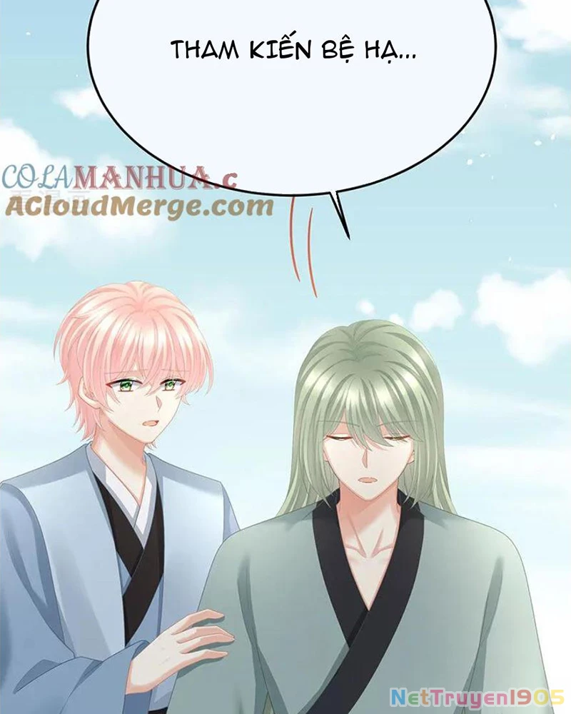 Hậu Cung Của Nữ Đế Chapter 437 - 8