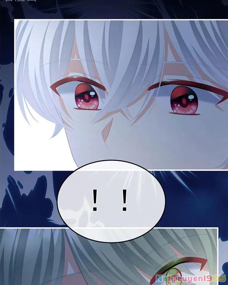 Hậu Cung Của Nữ Đế Chapter 437 - 42