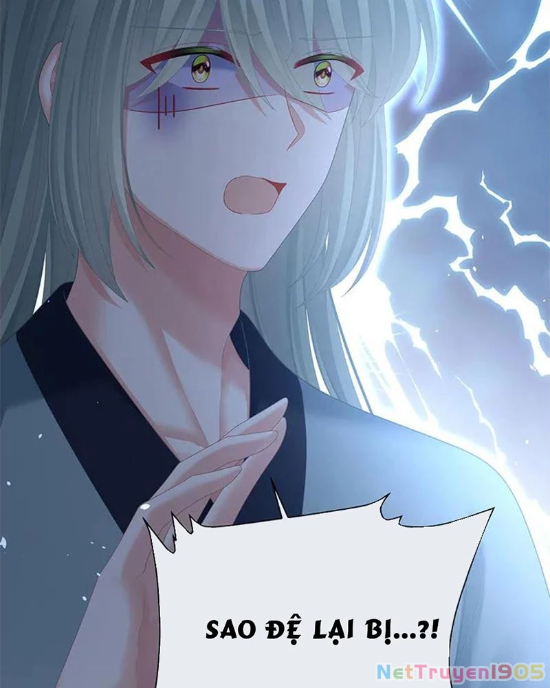 Hậu Cung Của Nữ Đế Chapter 437 - 44