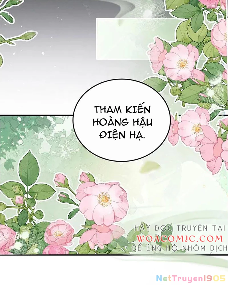 Hậu Cung Của Nữ Đế Chapter 437 - 47