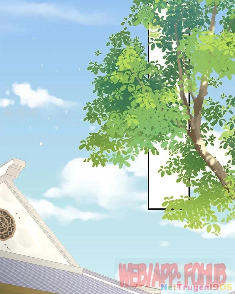 Hậu Cung Của Nữ Đế Chapter 438 - 4