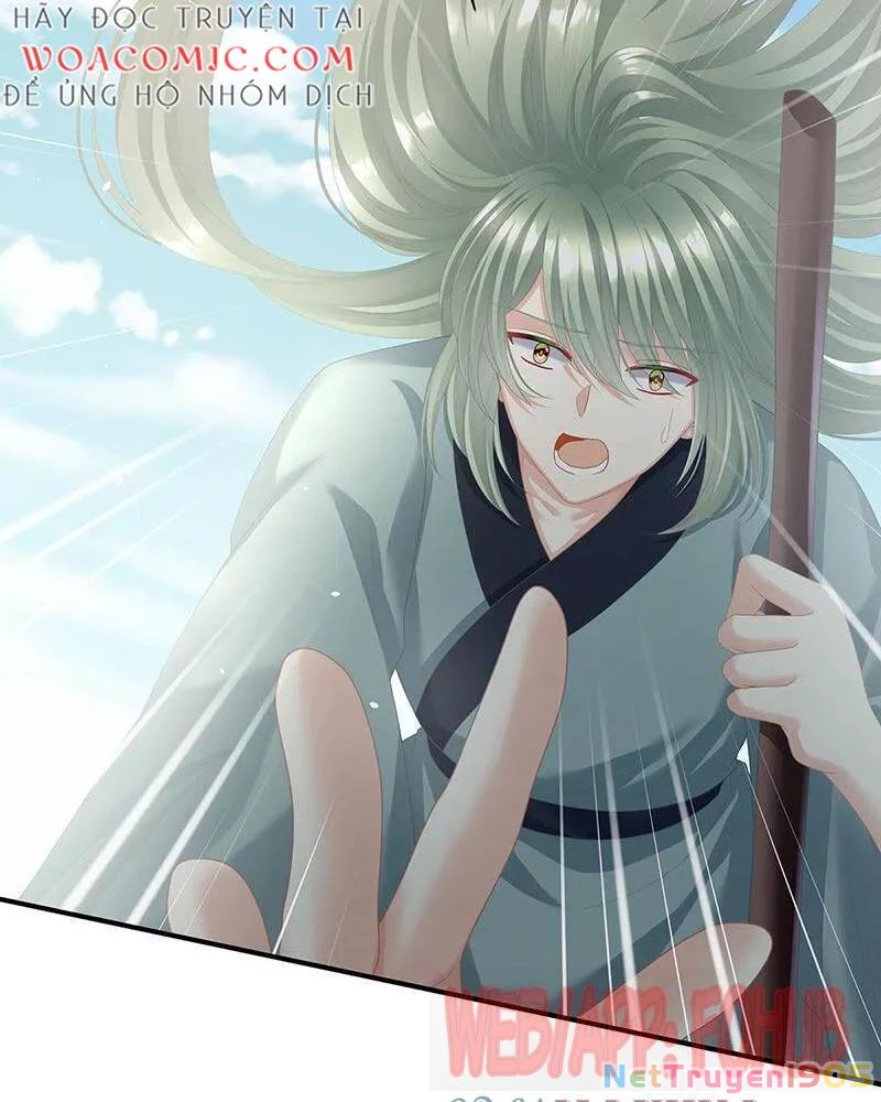 Hậu Cung Của Nữ Đế Chapter 441 - 31