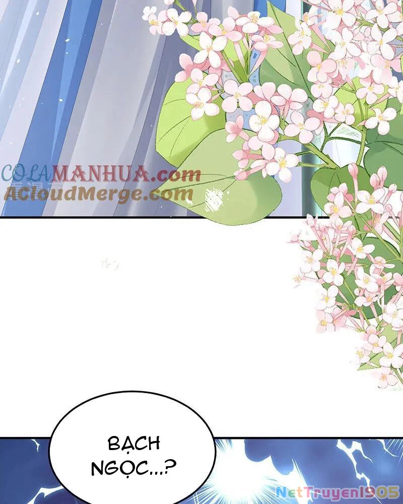 Hậu Cung Của Nữ Đế Chapter 441 - 51