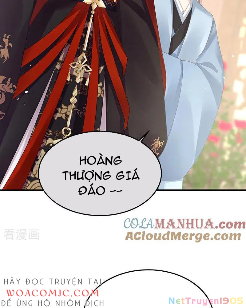 Hậu Cung Của Nữ Đế Chapter 442 - 5