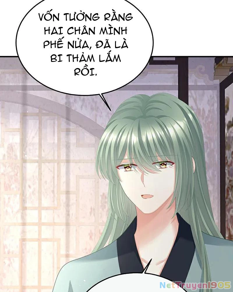 Hậu Cung Của Nữ Đế Chapter 442 - 29