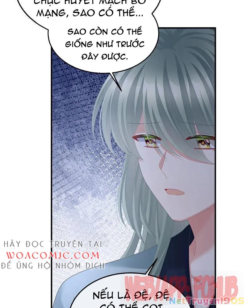 Hậu Cung Của Nữ Đế Chapter 442 - 40