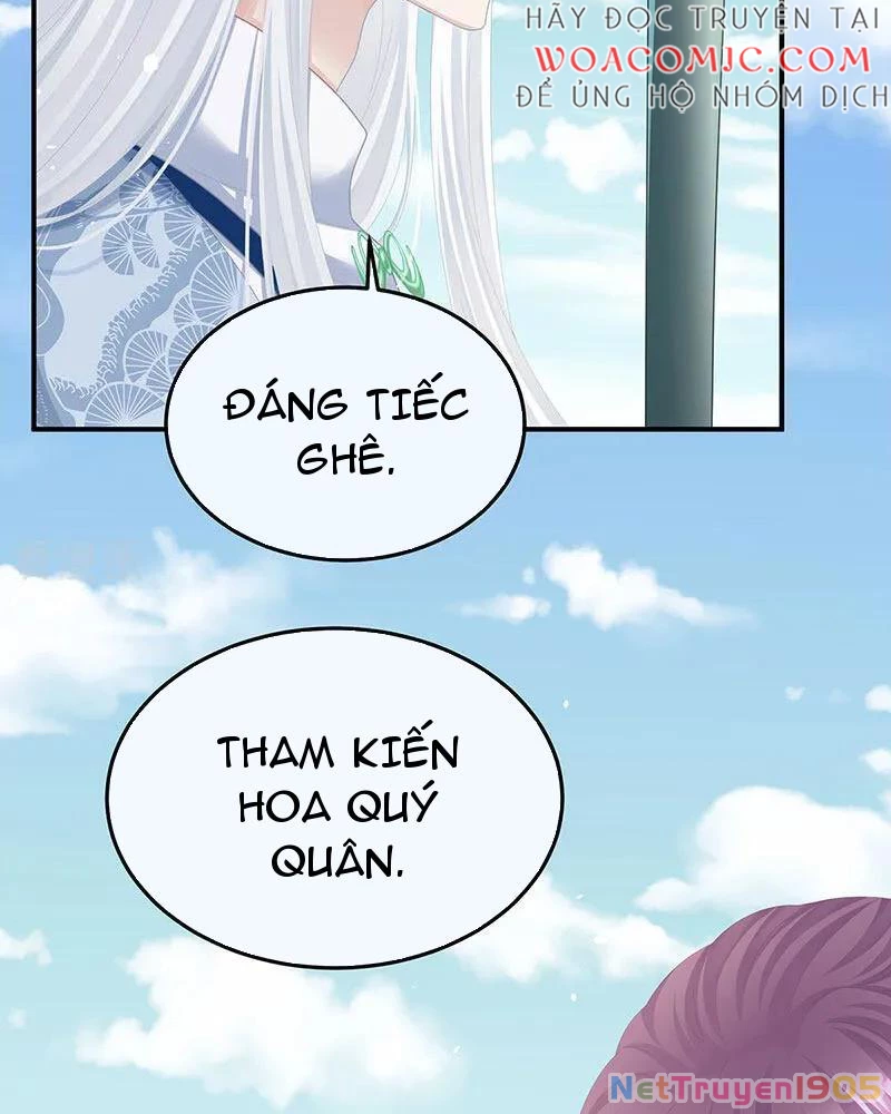 Hậu Cung Của Nữ Đế Chapter 443 - 27