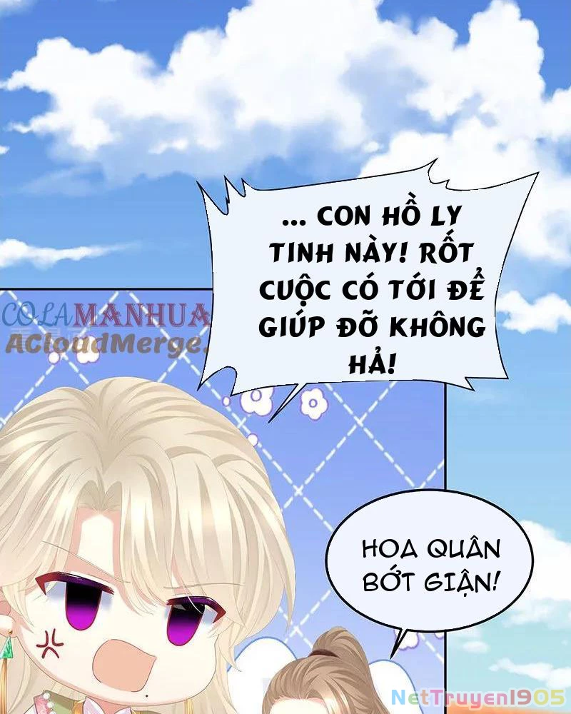 Hậu Cung Của Nữ Đế Chapter 443 - 51