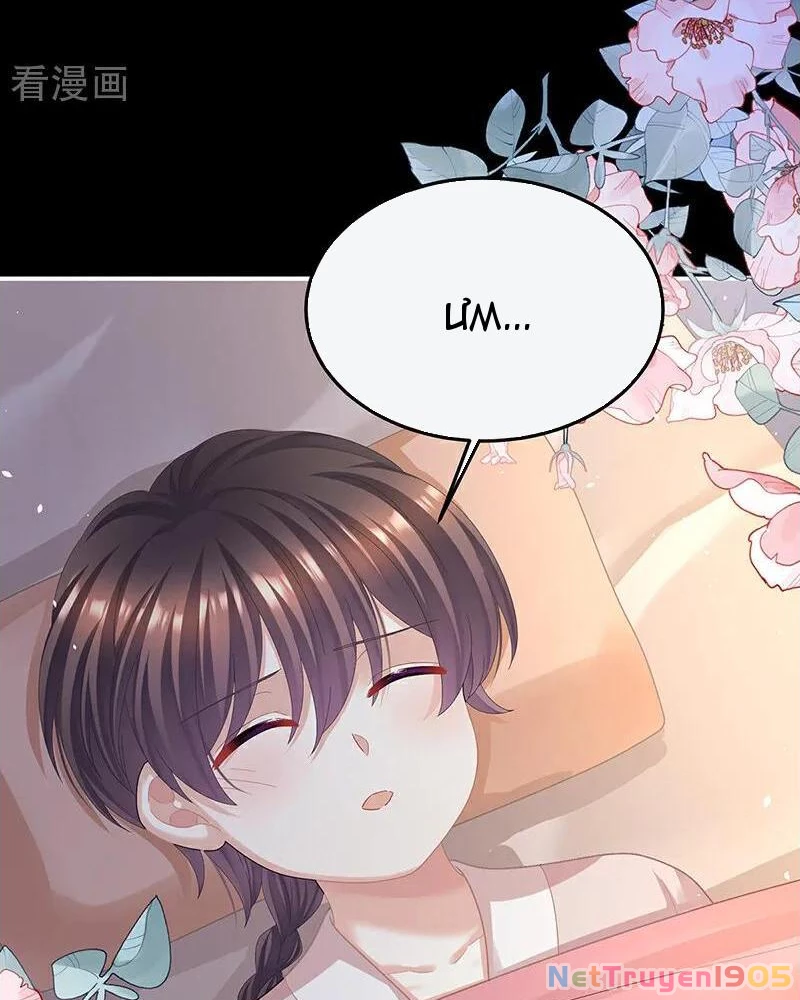 Hậu Cung Của Nữ Đế Chapter 446 - 6