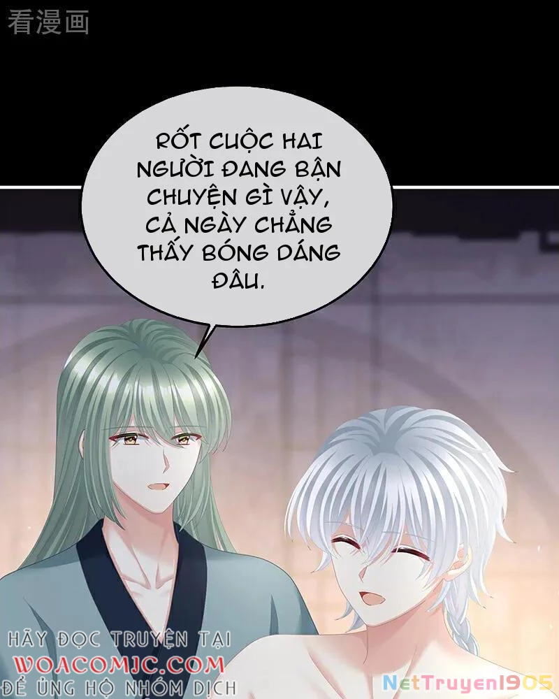 Hậu Cung Của Nữ Đế Chapter 446 - 42