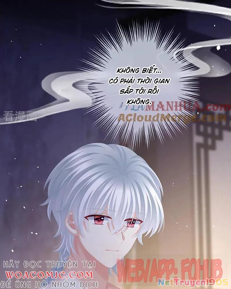 Hậu Cung Của Nữ Đế Chapter 446 - 46