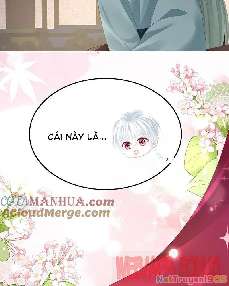 Hậu Cung Của Nữ Đế Chapter 446 - 49