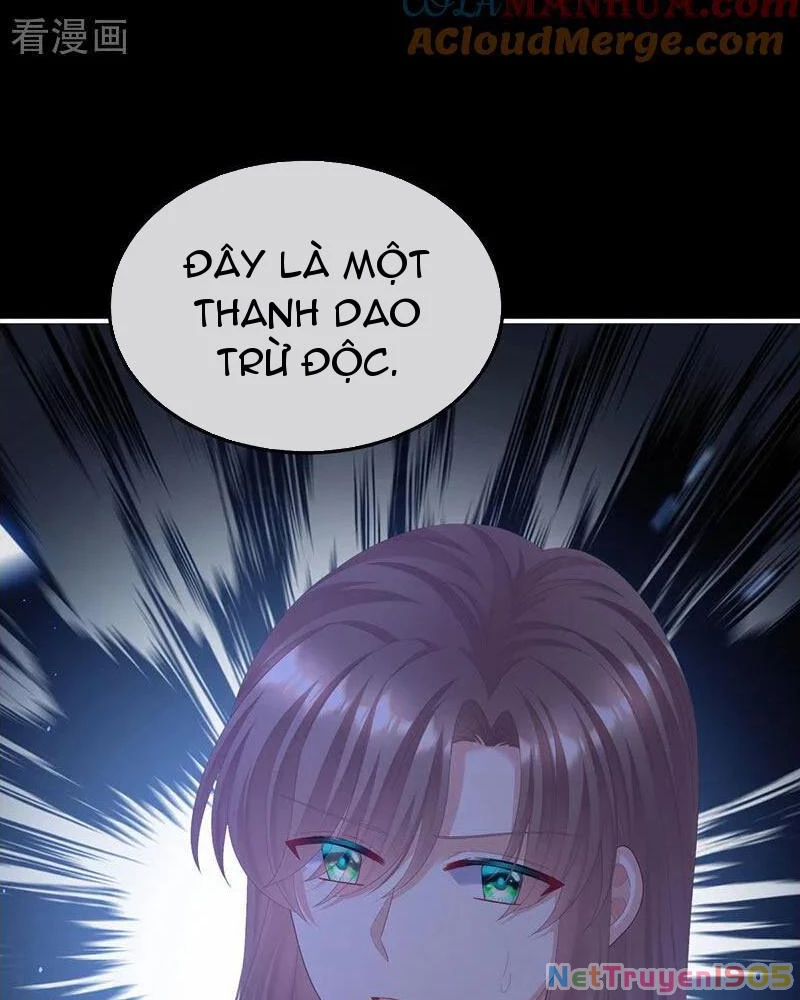 Hậu Cung Của Nữ Đế Chapter 447 - 41