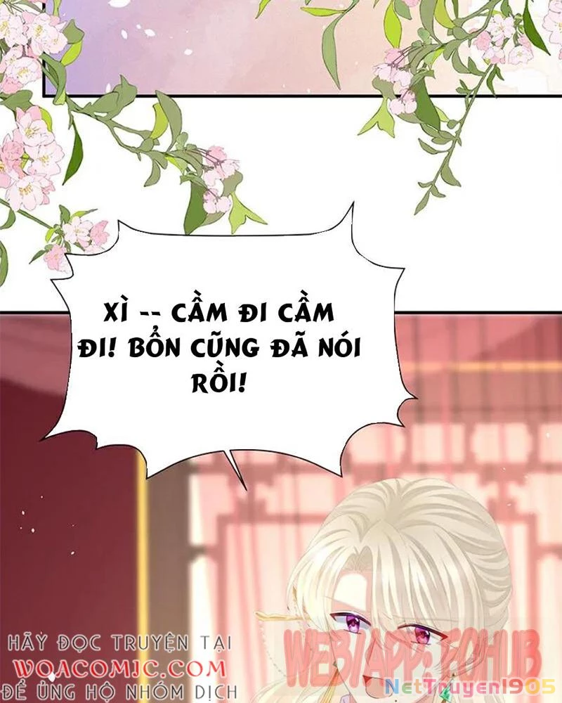 Hậu Cung Của Nữ Đế Chapter 448 - 7