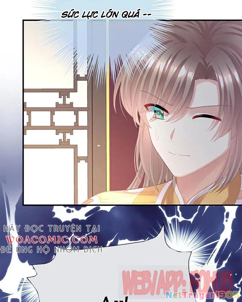Hậu Cung Của Nữ Đế Chapter 448 - 49