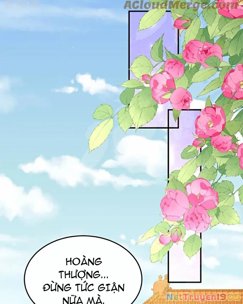 Hậu Cung Của Nữ Đế Chapter 449 - 42