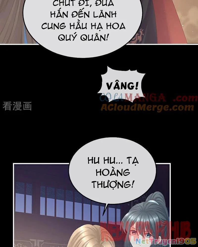 Hậu Cung Của Nữ Đế Chapter 453 - 52