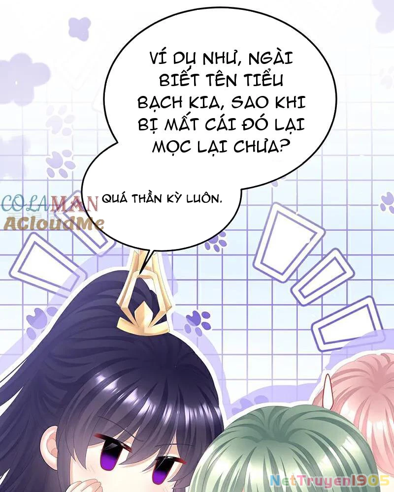 Hậu Cung Của Nữ Đế Chapter 455 - 24