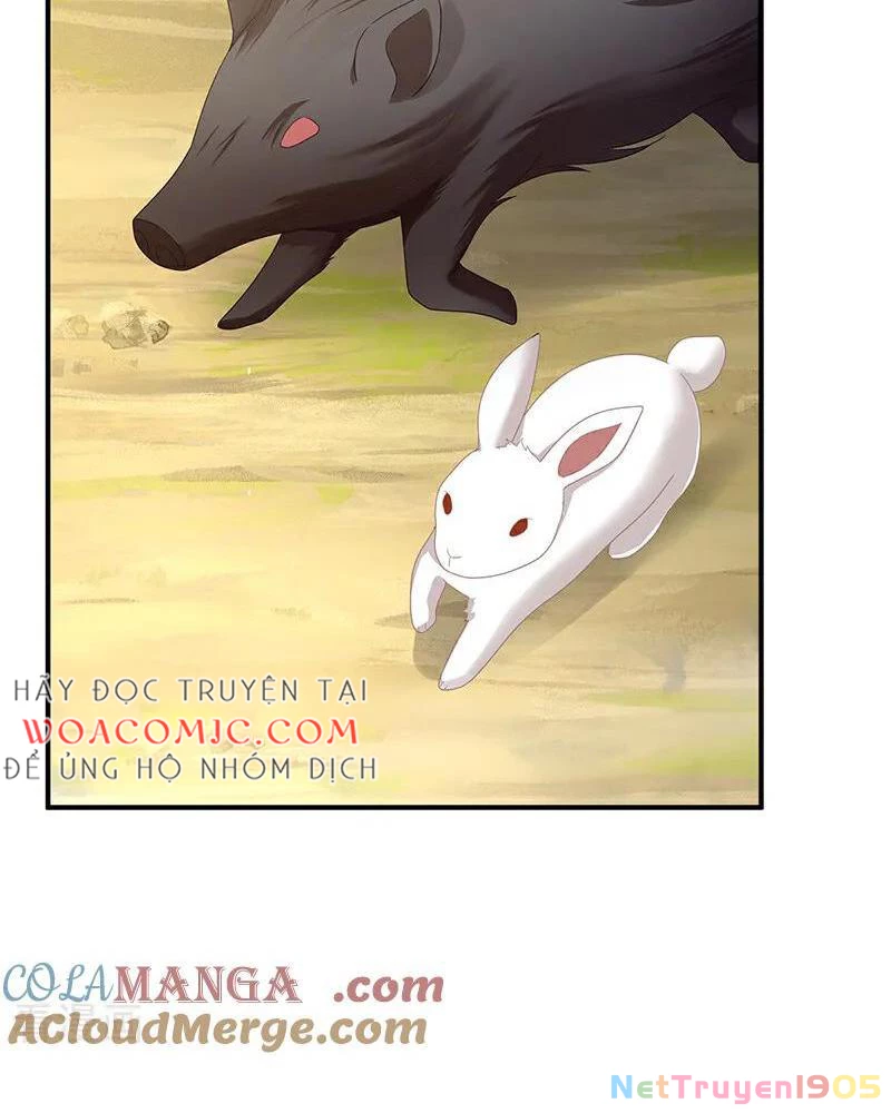 Hậu Cung Của Nữ Đế Chapter 456 - 26