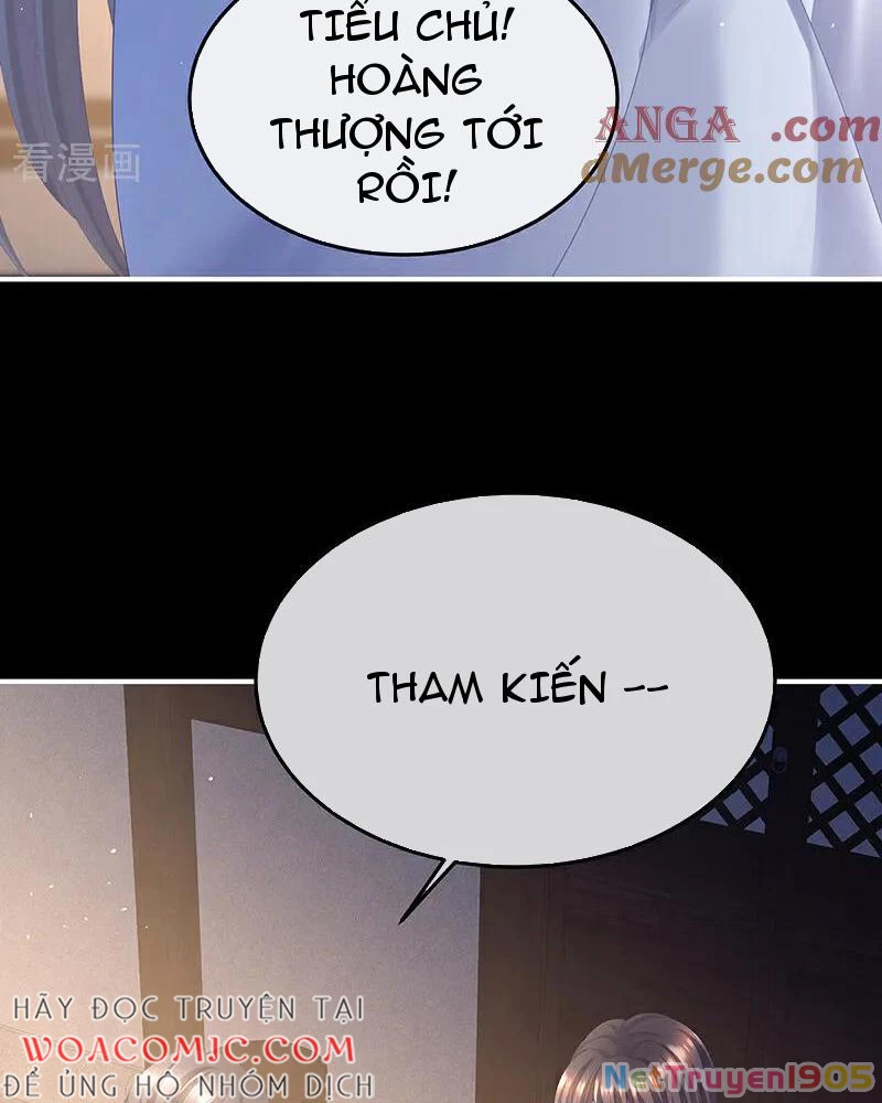 Hậu Cung Của Nữ Đế Chapter 458 - 17