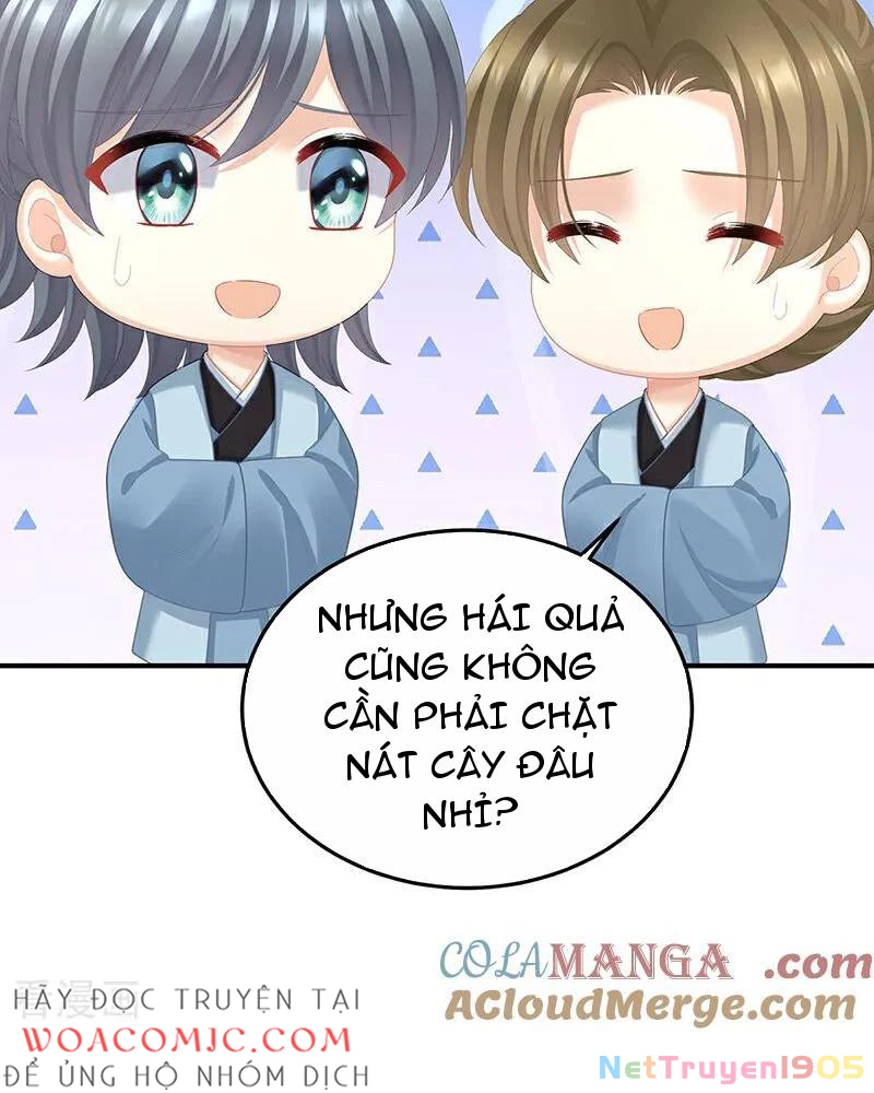Hậu Cung Của Nữ Đế Chapter 461 - 38