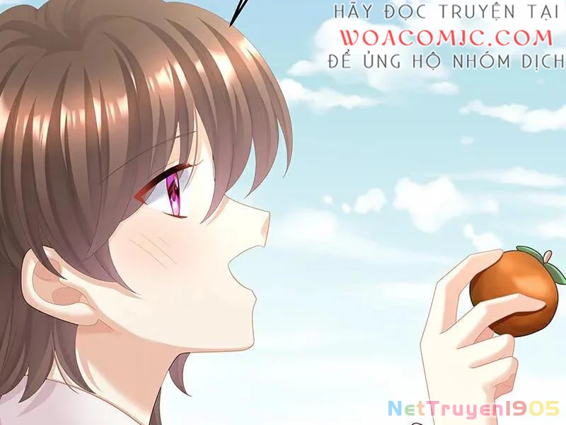 Hậu Cung Của Nữ Đế Chapter 461 - 41