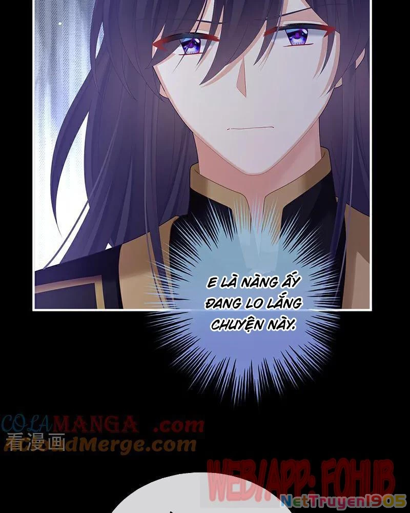 Hậu Cung Của Nữ Đế Chapter 467 - 43