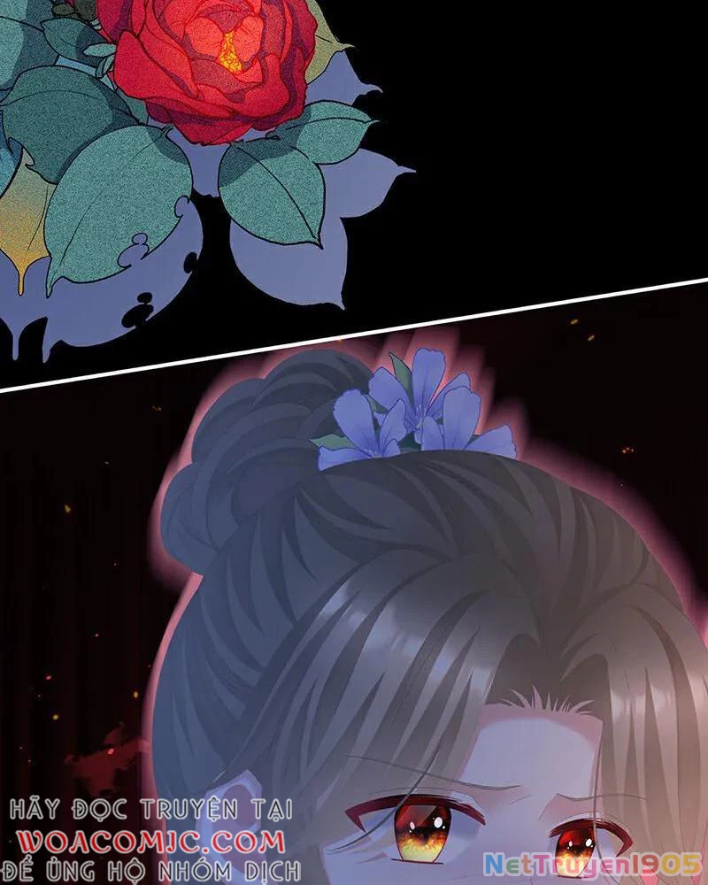 Hậu Cung Của Nữ Đế Chapter 472 - 24