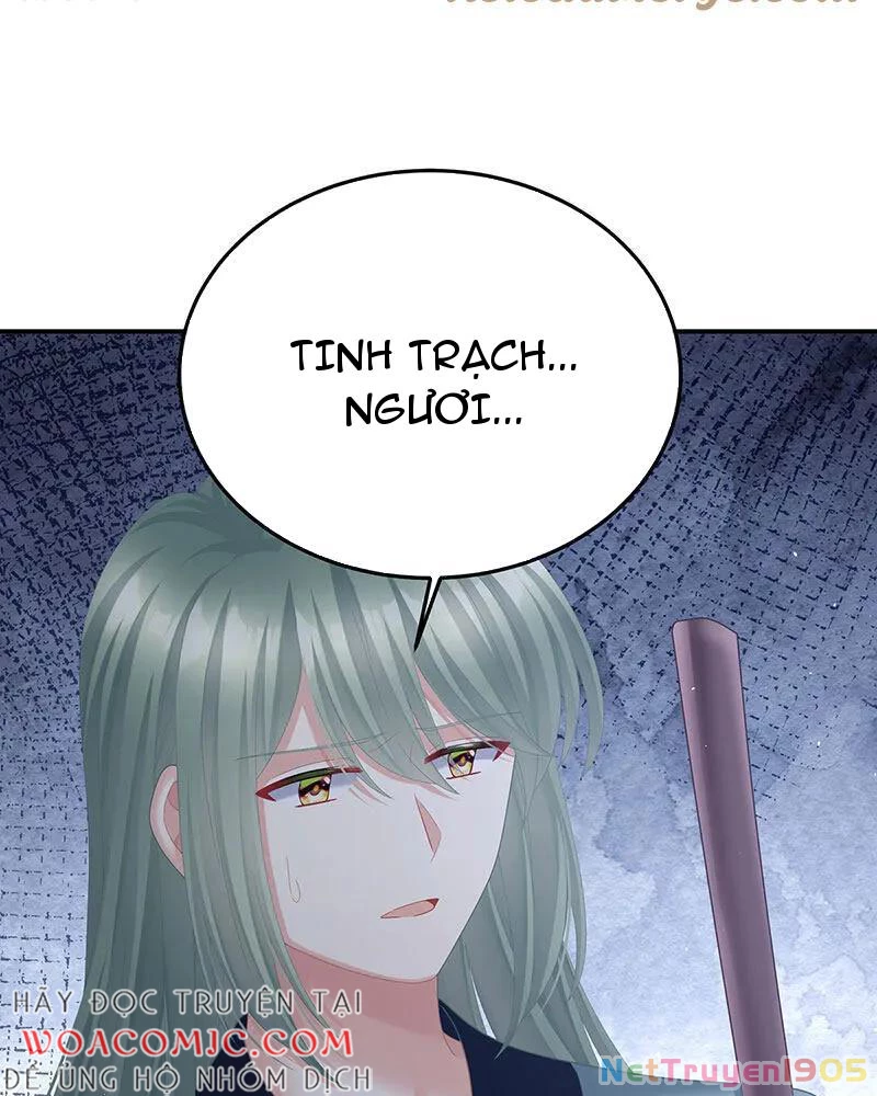 Hậu Cung Của Nữ Đế Chapter 476 - 36